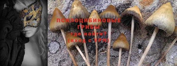 прущий лед Арсеньев
